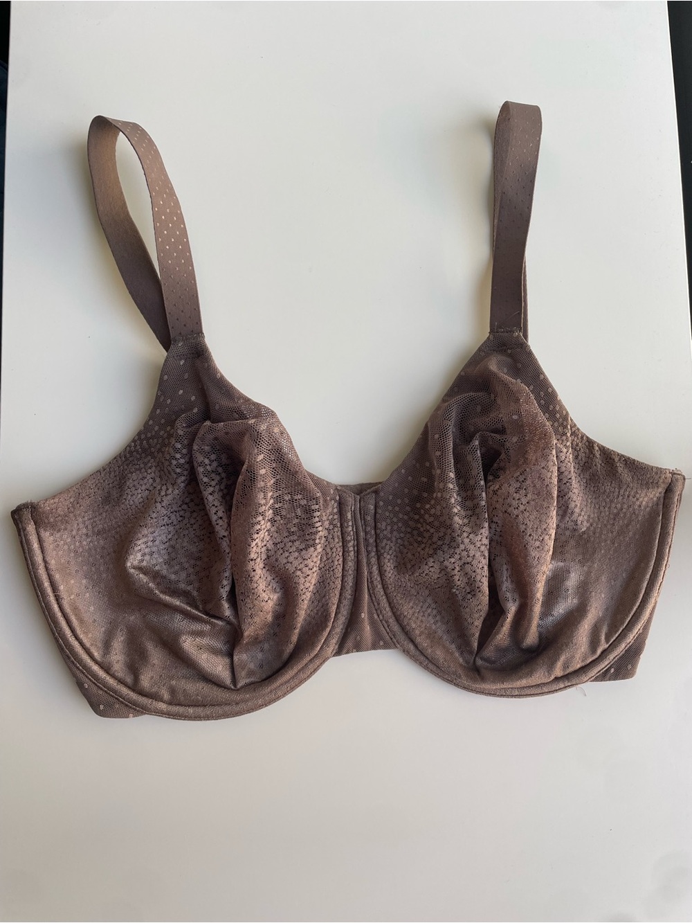 Wacoal 34H Back Appeal Underwire Bra in Cappuccino